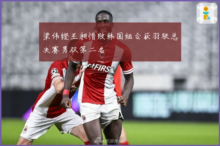 梁伟铿王昶惜败韩国组合获羽联总决赛男双第二名